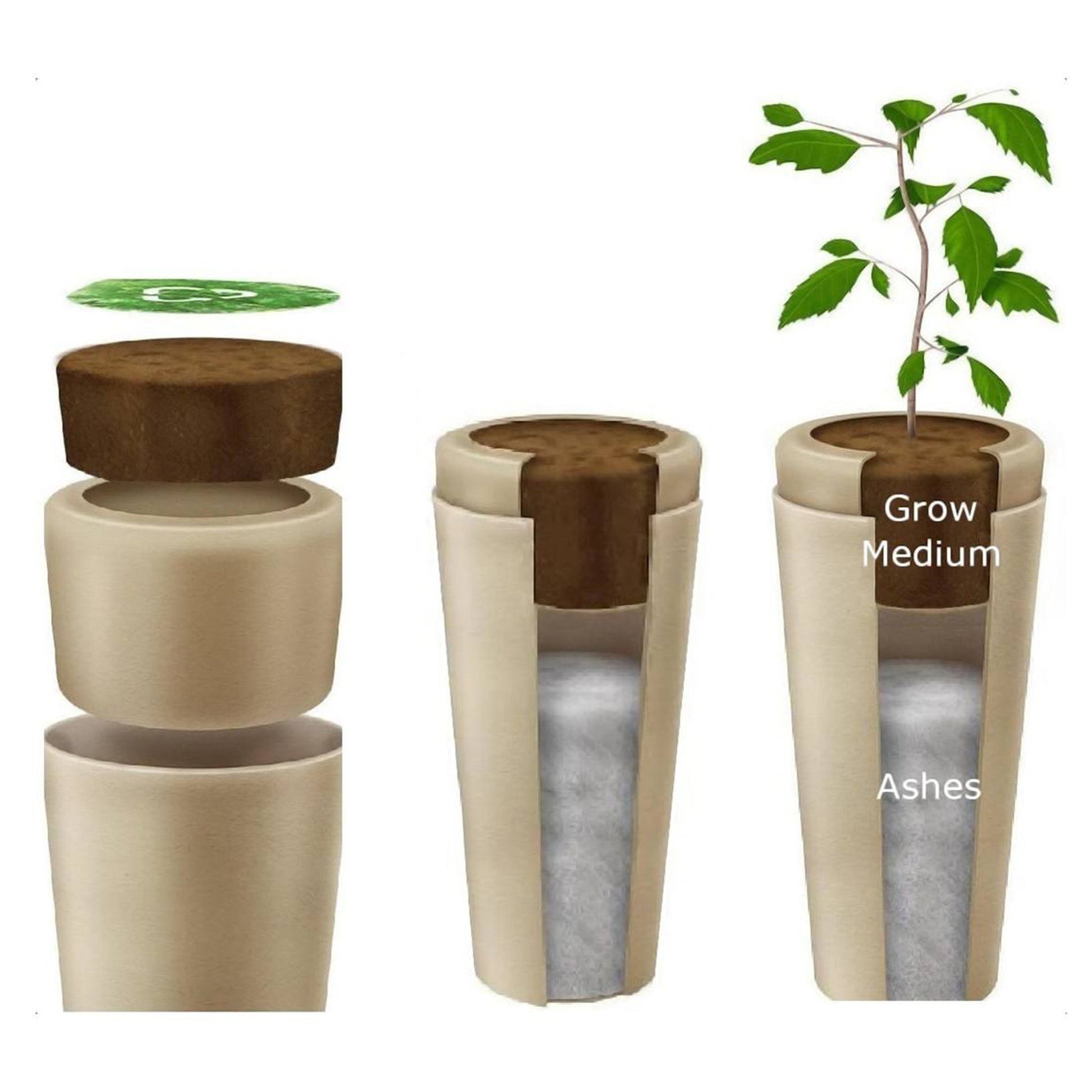 Bios Urn for Humans - My Store