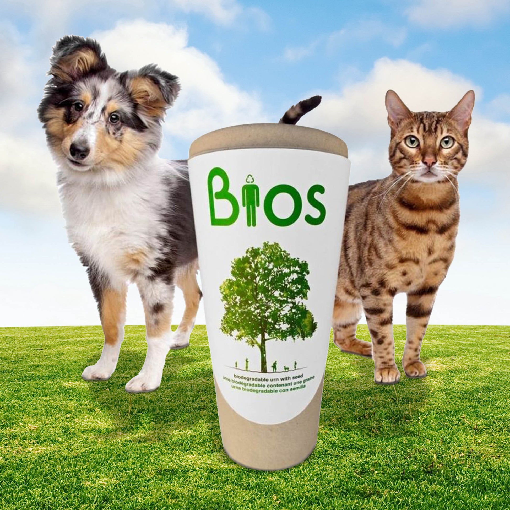 Bios Urn for Pets - My Store