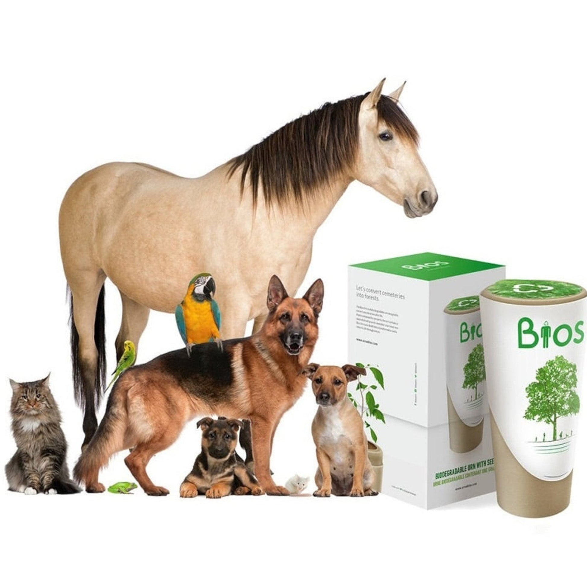 Bios Urn for Pets - My Store