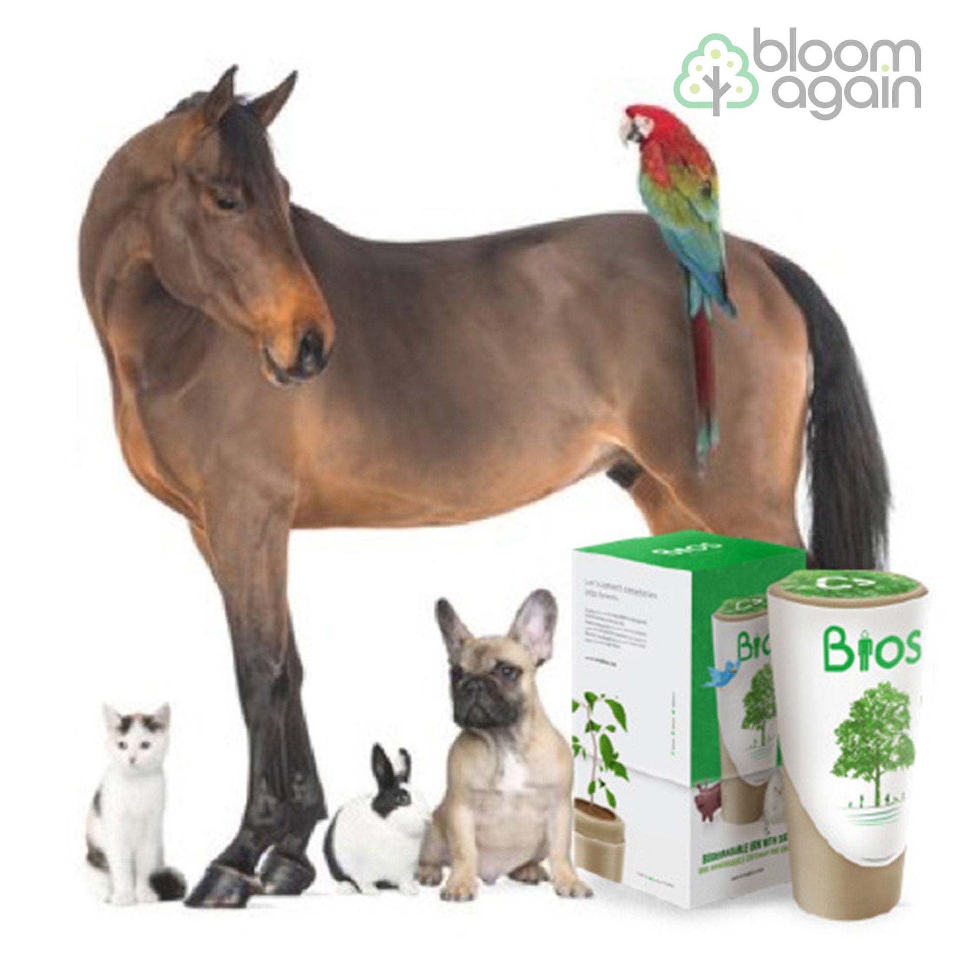 Biodegradable Bios Urn for Pets and Animal Cremation - Bloom Again