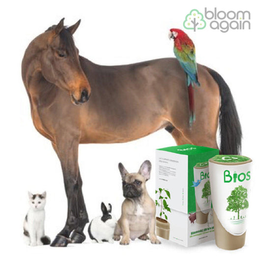 Biodegradable Bios Urn for Pets and Animal Cremation - Bloom Again