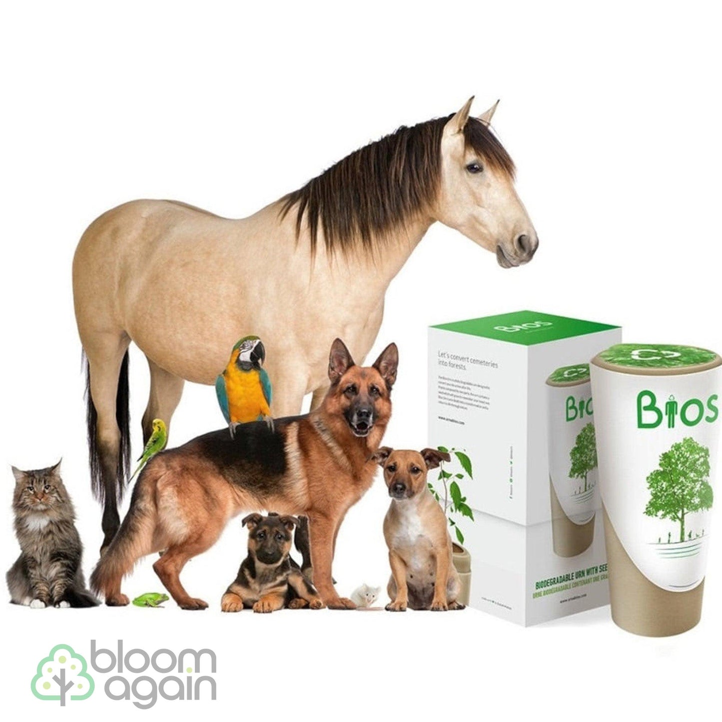 Biodegradable Bios Urn for Pets and Animal Cremation - Bloom Again